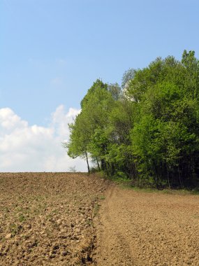 tarım alanı