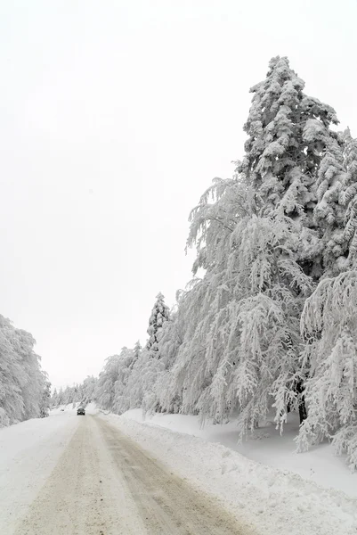 Дорога в снігу — стокове фото