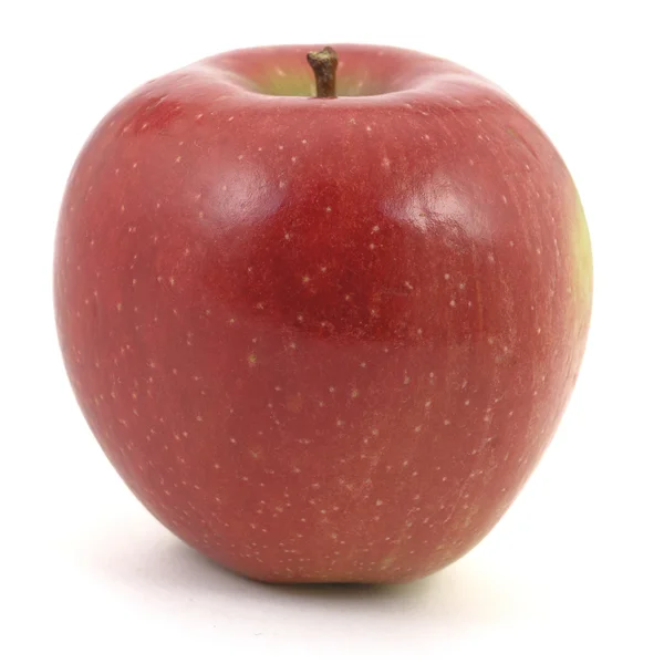 Одно яблоко на белом — стоковое фото