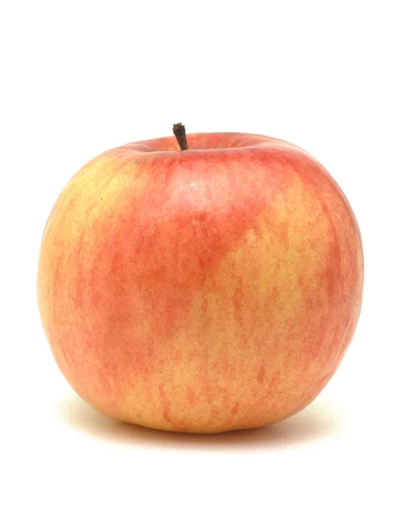 Одно яблоко на белом — стоковое фото