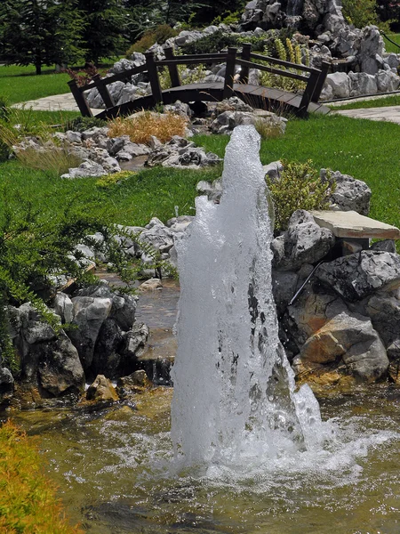 stock image Strong Spring in Garden