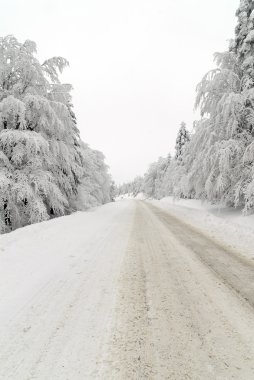 trafik yolda kar