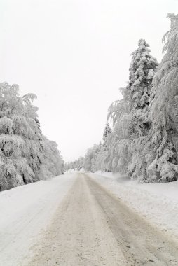 trafik yolda kar