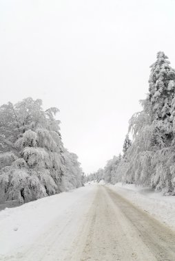 trafik yolda kar