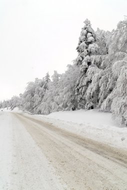 trafik yolda kar