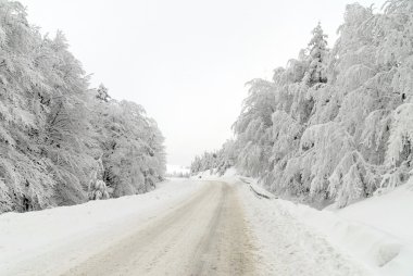 trafik yolda kar