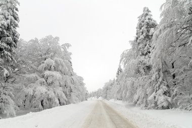 trafik yolda kar