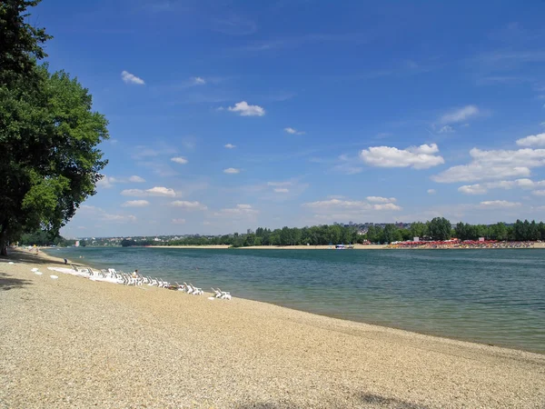 stock image Lake Ada