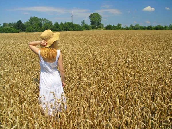 stock image Girl in field