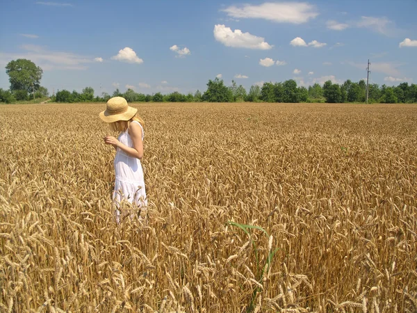 stock image Girl in field