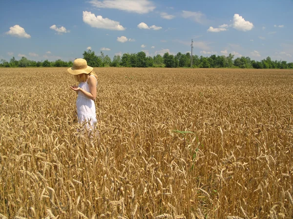 stock image Girl in field