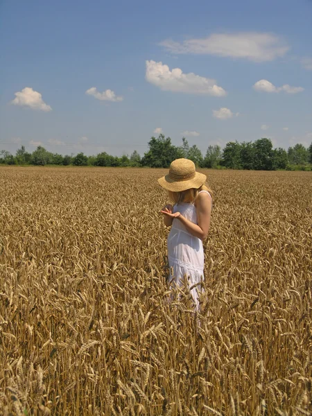 stock image Girl in field