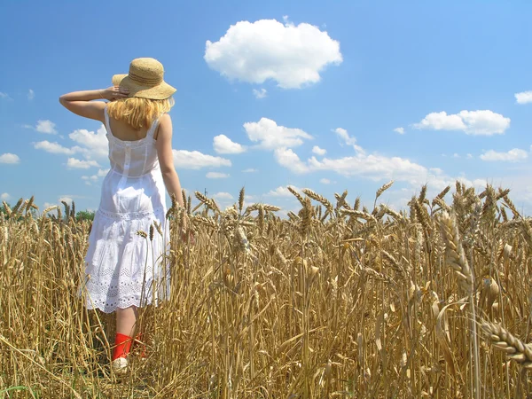 Meisje in veld — Stockfoto