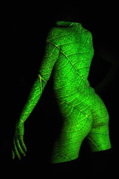 stock image Nude Woman Body With Leaf