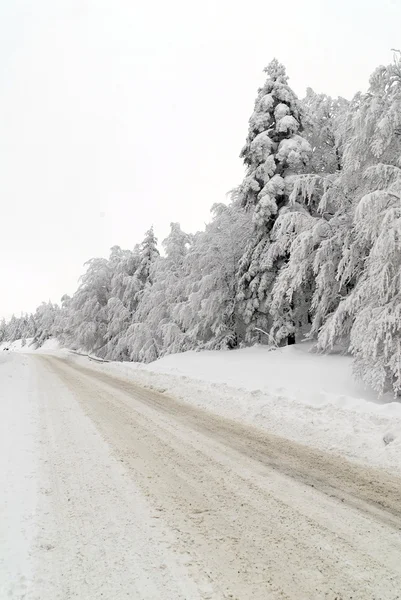 stock image Traffic road in snow