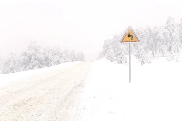 Karda yol işareti — Stok fotoğraf