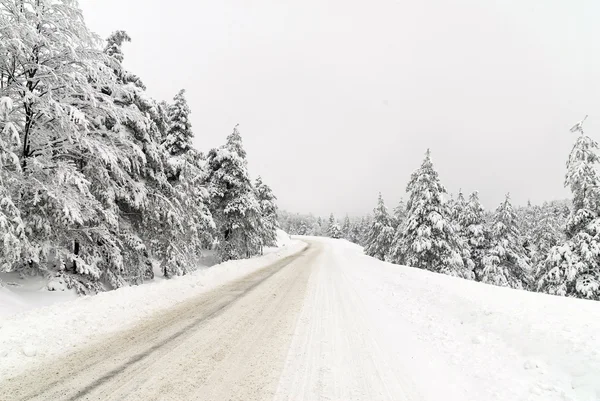 Strada di traffico in neve — Foto Stock