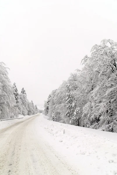 Trafik yolda kar — Stok fotoğraf