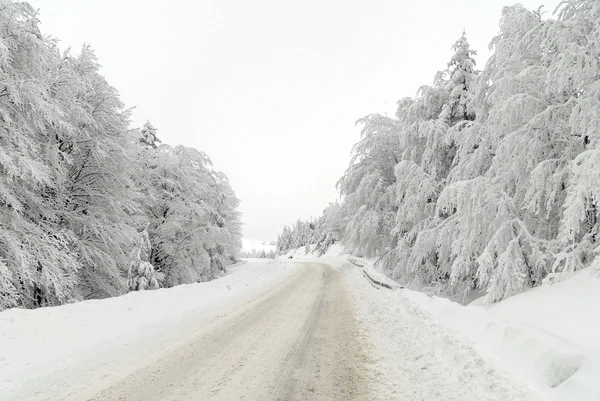Tráfico por carretera en nieve —  Fotos de Stock