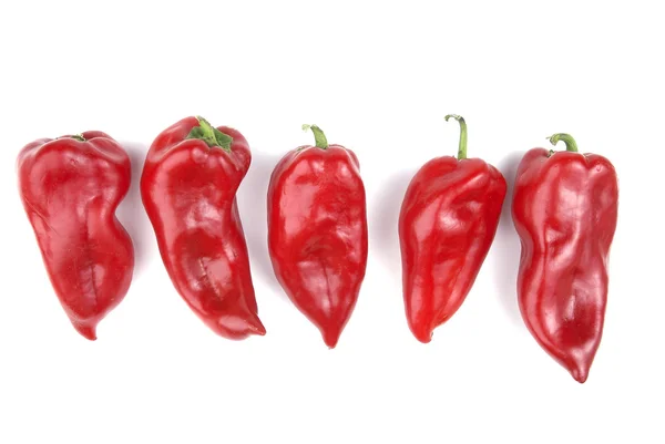 Red Peppers in Group — Stock Photo, Image