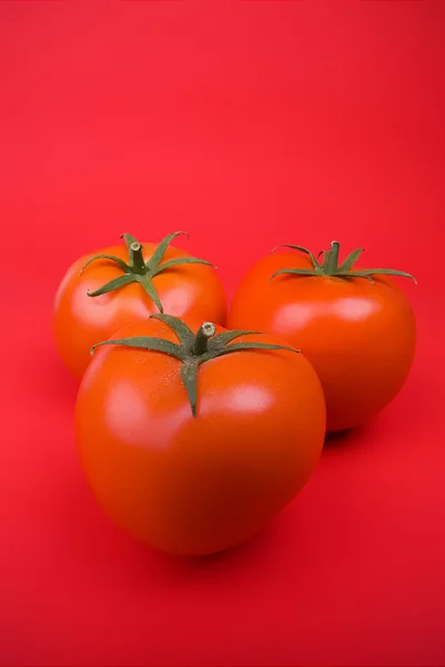 大きなトマト — ストック写真