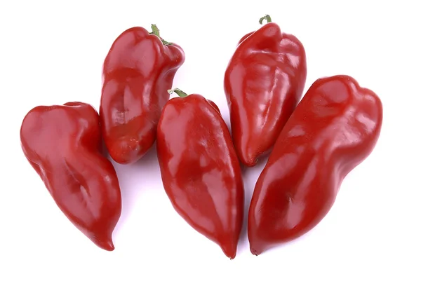 Red Peppers — Stock Photo, Image
