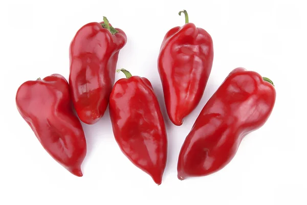 Group of Peppers — Stock Photo, Image