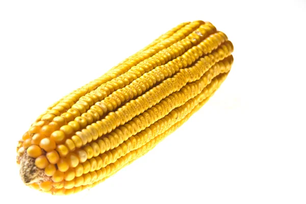 Kukorica kukoricacsutka őrlemény — Stock Fotó