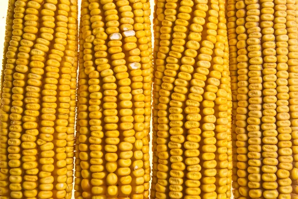 Kukurydza kaczan kukurydzy — Zdjęcie stockowe