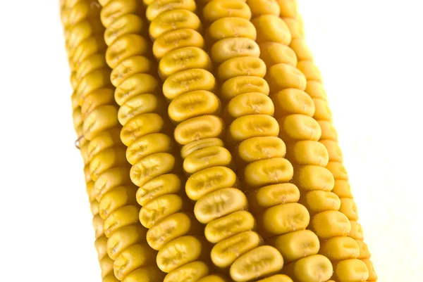 옥수수 corncob — 스톡 사진