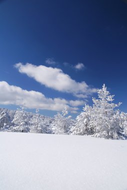 kış hava