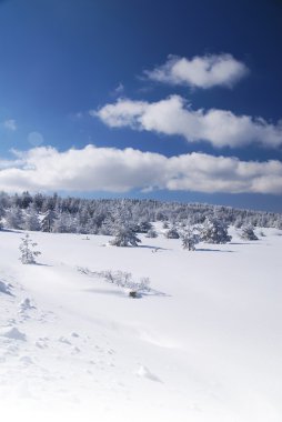 Kış