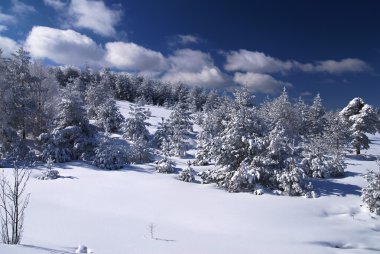 Kış