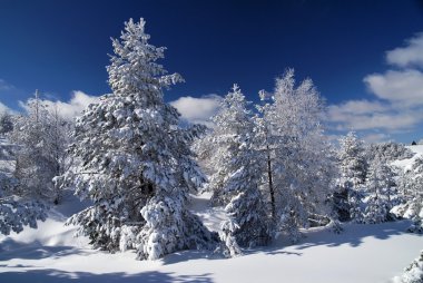 Kış