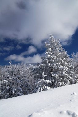 Kış