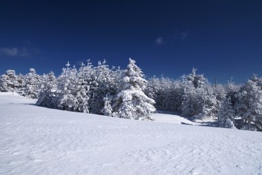 Kış