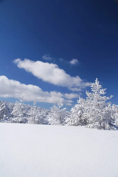 Winterwetter — Stockfoto