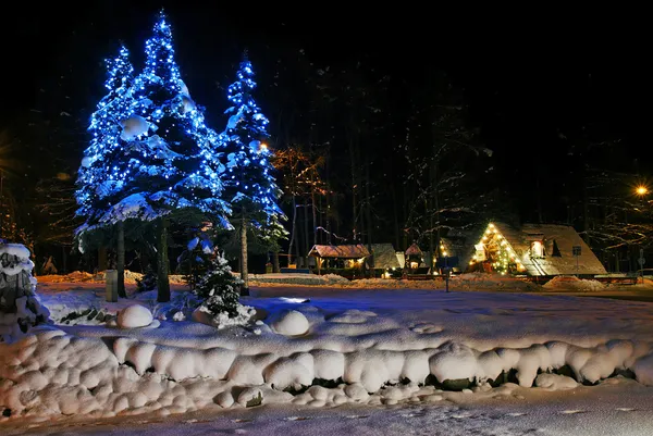 kamusal alanda Noel ağaçları