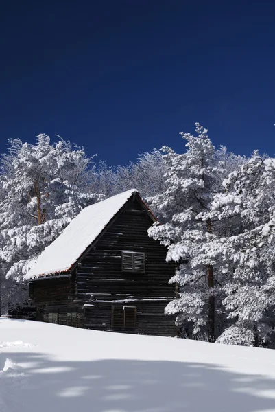 Casa di montagna in neve — Foto Stock