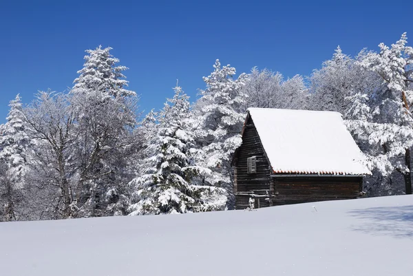 Горный дом в снегу — стоковое фото