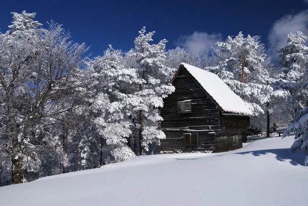 Гірський будинок у снігу — стокове фото