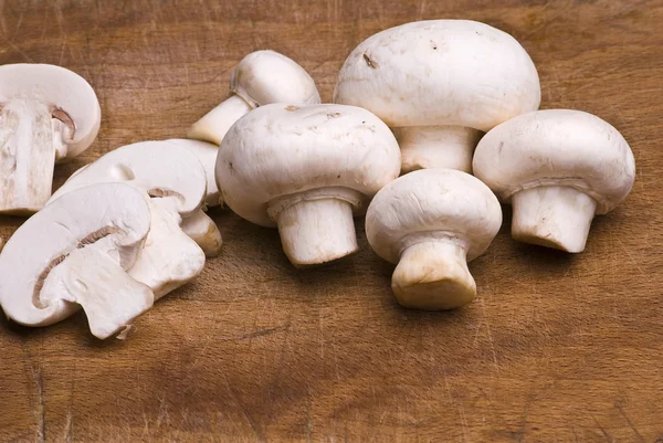 stock image Mushrooms