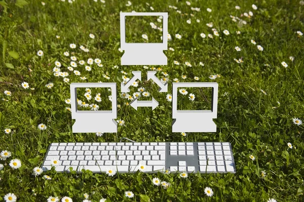 Kleine computernetwerk in tuin — Stockfoto