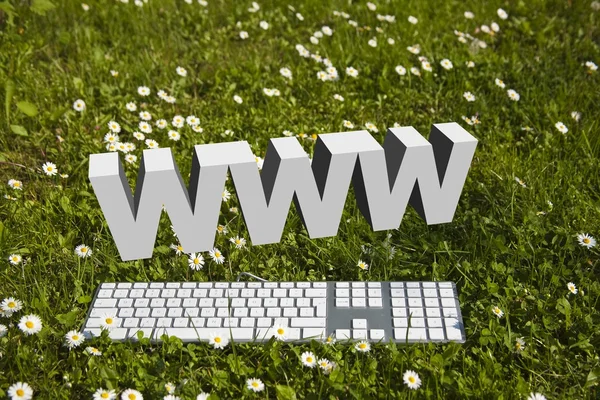 Www internet i trädgården! — Stockfoto
