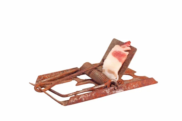 Old rusty mousetrap with bacon — Stock Photo, Image