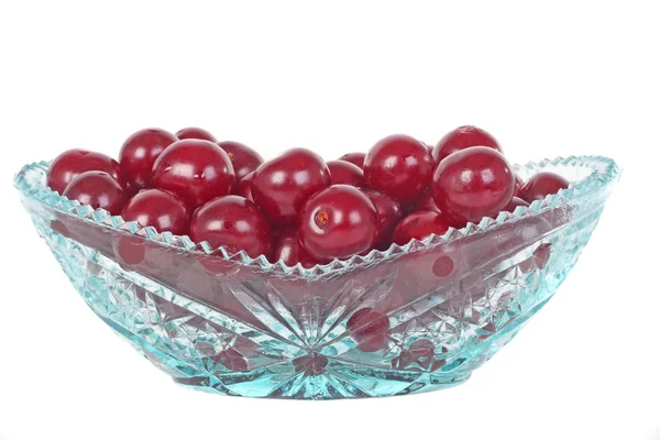 Fresh ripe cherries with the branch — Stock Photo, Image