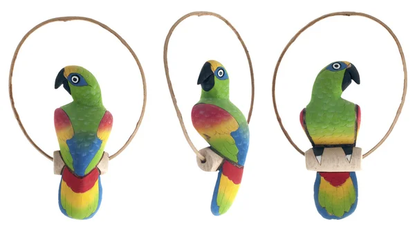 Dekoratif papağan — Stok fotoğraf