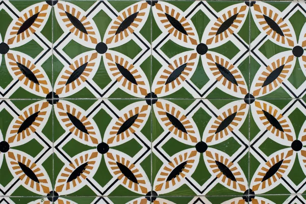 葡萄牙釉面的瓷砖 169 — 图库照片