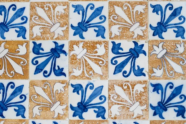 Azulejos esmaltados portugueses 156 — Foto de Stock