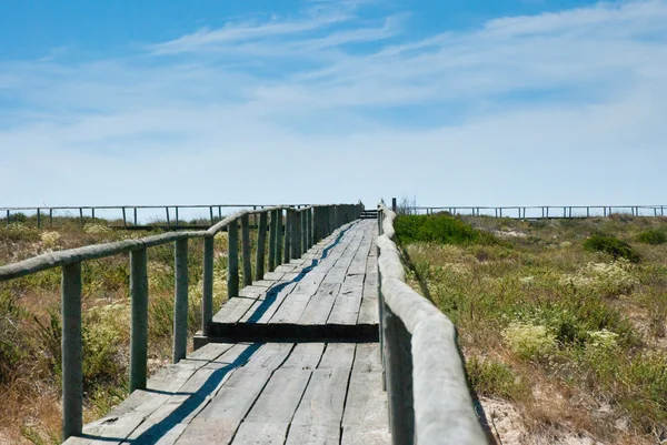 Boardwalk kum tepeleri üzerinde — Stok fotoğraf